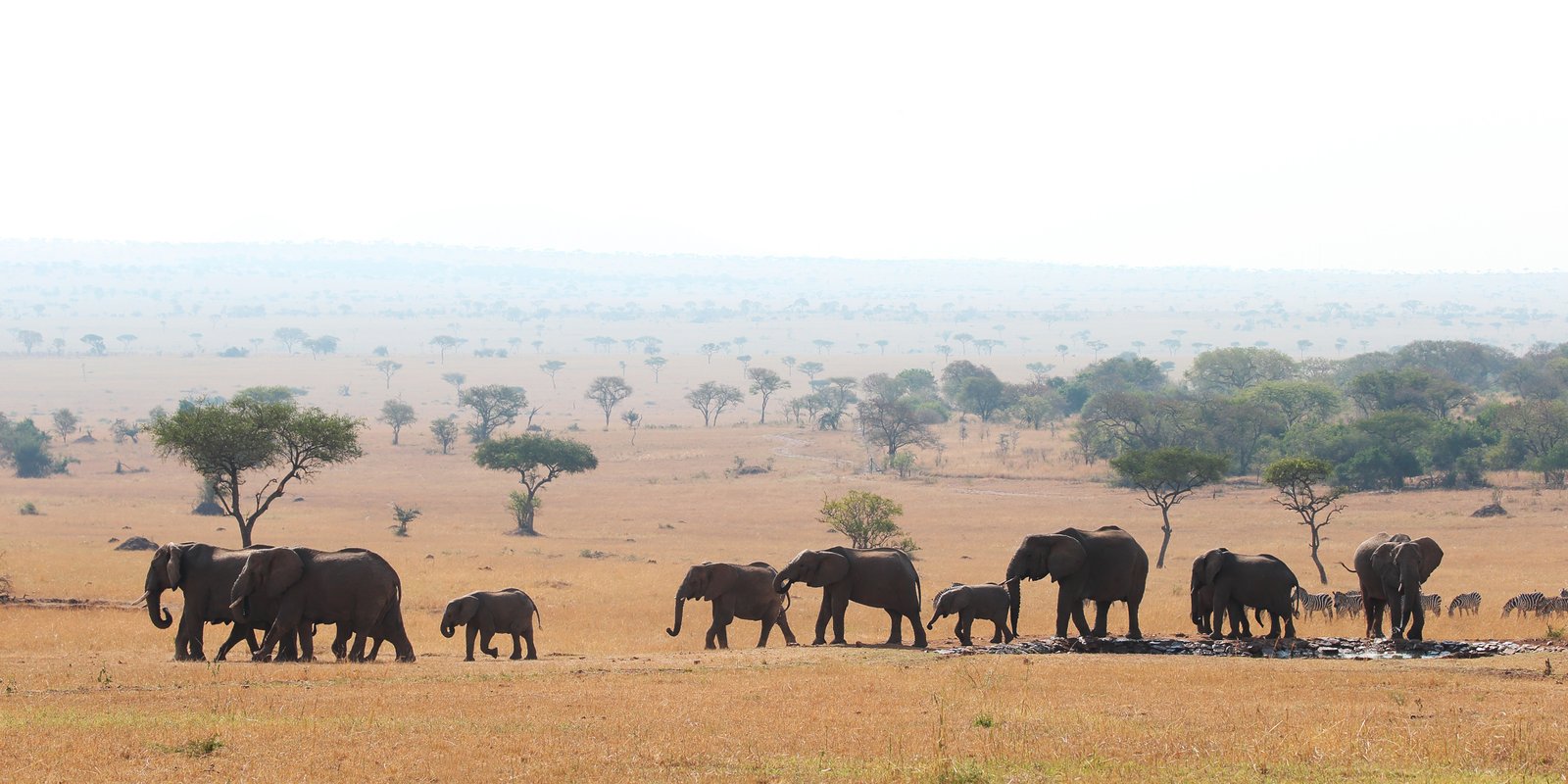 Grumeti Game Reserve