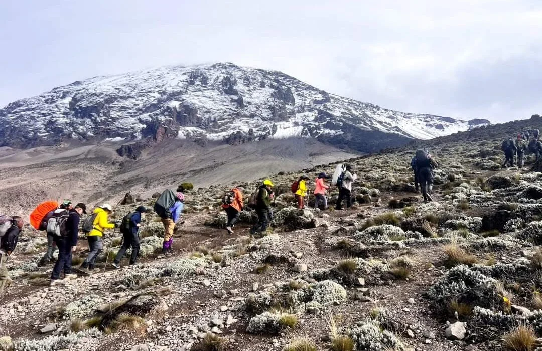 africa-high-tours-Lemosho-Machame-02-1080x700