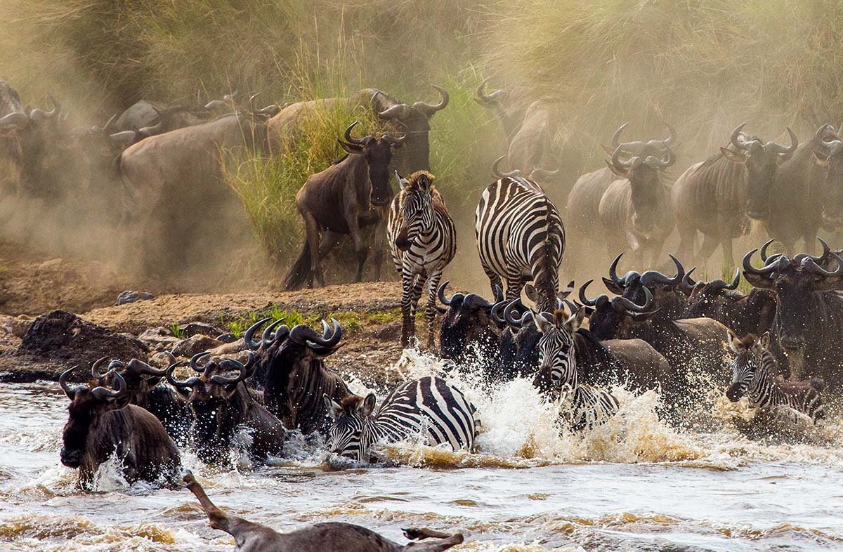 great-migration-1