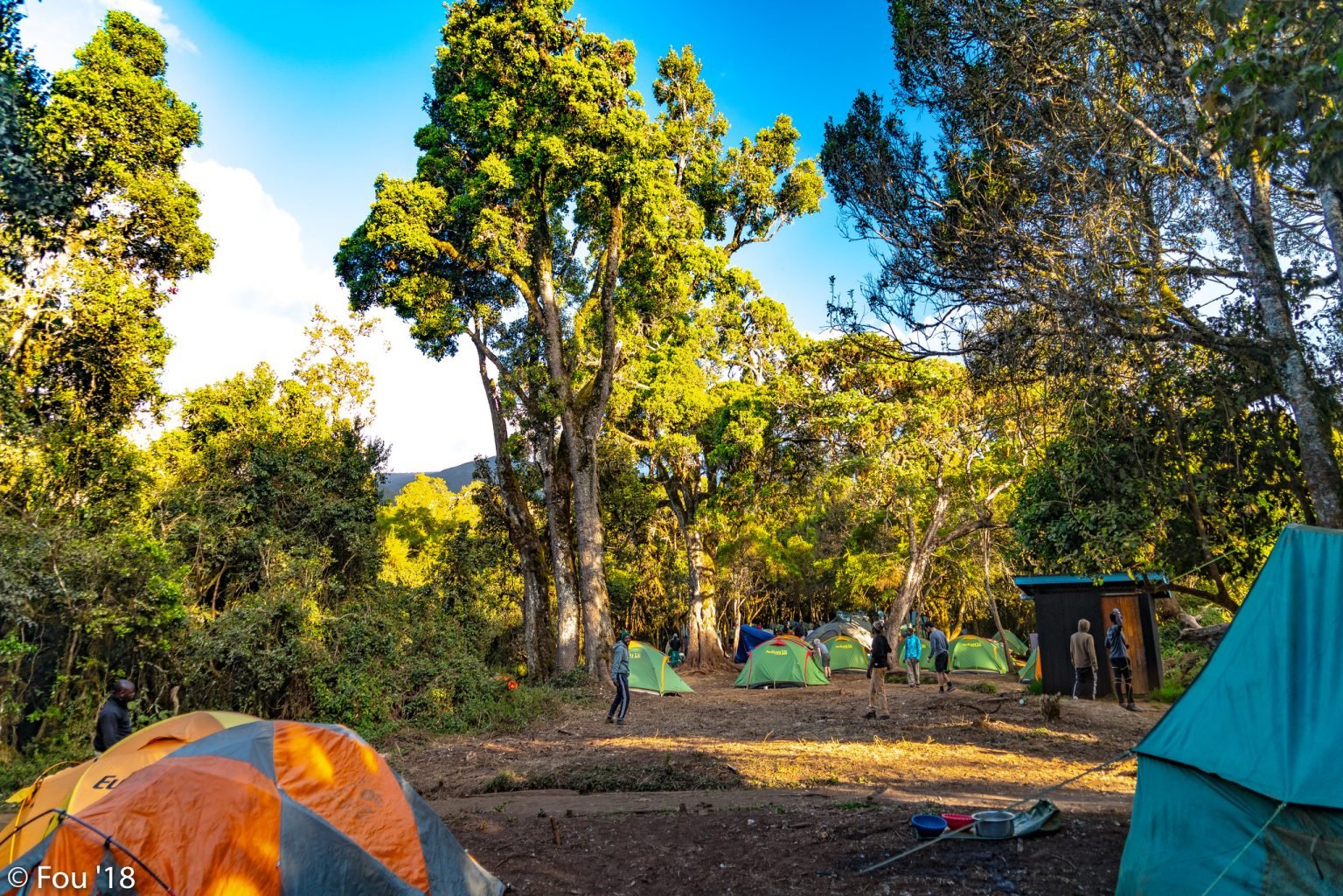 mti-mkubwa-camp-1536x1025