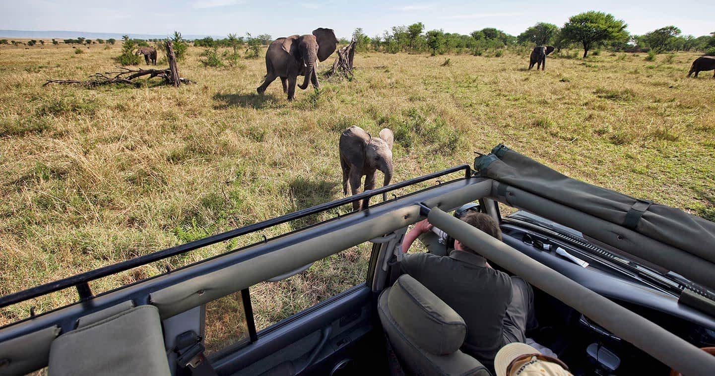 safari-game-drive-serengeti-tanzania